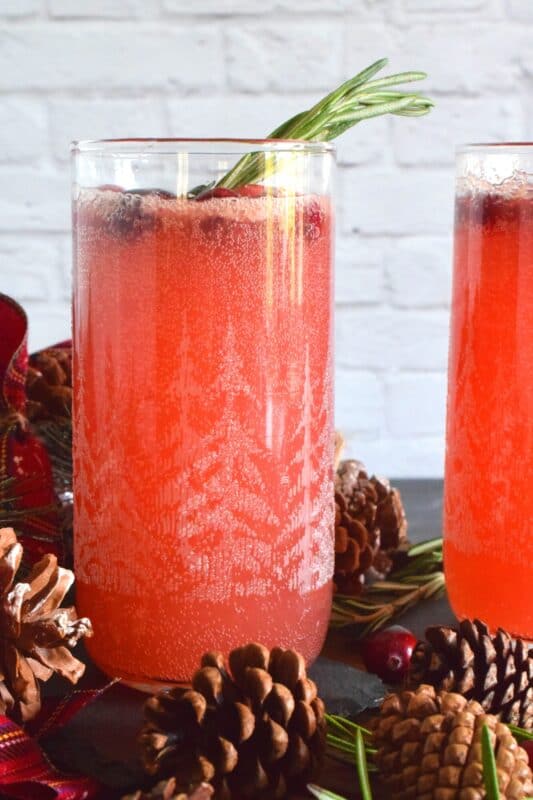 Be sure to serve this cocktail super cold for the best results. Rudolph's Fruity Spritzer has lots of fruit juices, soda, and vodka too! Served in a highball glass, this cocktail is certainly a generous one! #cocktail #drinks #christmas #vodka