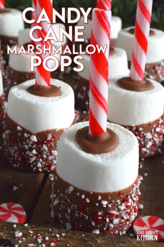 Candy Cane Marshmallow Pops are a delightfully delicious chocolate and peppermint treat prepared with melted milk chocolate, jumbo marshmallows, and crushed cane canes, and peppermint sticks.  Kids will love these, but I don't know any hot chocolate lover who wouldn't marvel over these as well!  These are great for packaging and gifting too! #hotchocolate #peppermint #marshmallows