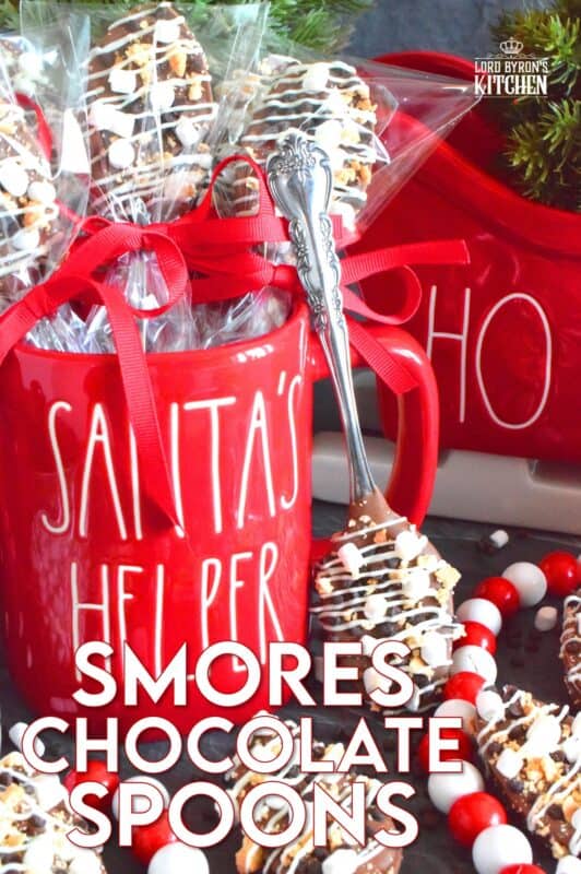 The ultimate rich and indulgent treat can be summed up in three words – S’mores Chocolate Spoons! Melted milk chocolate is topped with classic s'mores ingredients like marshmallows, cookies, and graham crackers. Stir a cup of hot chocolate with one of these spoons while watching your favourite holiday movie! They make a great gift idea too! #smores #stir #spoons