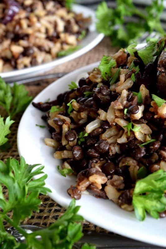 Mujadarra, a classic Middle Eastern dish, consists of black lentils, brown rice, and caramelized red onions. In all probability, you have everything you need to make this dish in your fridge and pantry already! Be sure to serve it up with a little sour cream for a new favourite easy and unique side or main. #middleeastern #mujadarra #lentils