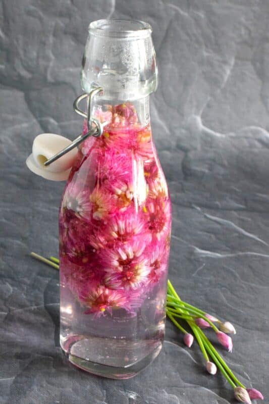 When the chive section of your herb garden blooms those beautiful, light purple flowers, pick them and make a jar of Chive Blossom Vinegar.  This bright pink vinegar has a light, mellow onion flavour and is a great ingredient for all kinds of recipes! #chive #blossoms #flowers #vinegar