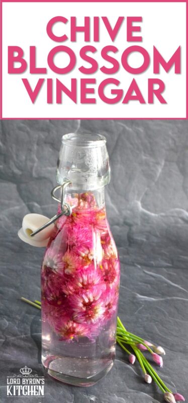 When the chive section of your herb garden blooms those beautiful, light purple flowers, pick them and make a jar of Chive Blossom Vinegar.  This bright pink vinegar has a light, mellow onion flavour and is a great ingredient for all kinds of recipes! #chive #blossoms #flowers #vinegar