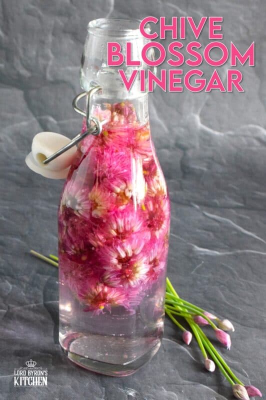 When the chive section of your herb garden blooms those beautiful, light purple flowers, pick them and make a jar of Chive Blossom Vinegar.  This bright pink vinegar has a light, mellow onion flavour and is a great ingredient for all kinds of recipes! #chive #blossoms #flowers #vinegar