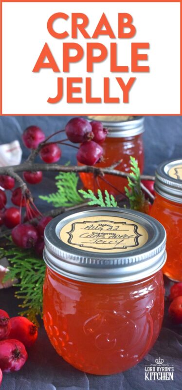 Easily transform those overly tart backyard crab apples into the most delicious Crab Apple Jelly! All you need are crab apples, water, and sugar! This jelly is sweet and tart and has a strong crab apple flavour. Go ahead, spoon it over everything! #crabapples #apple #jelly