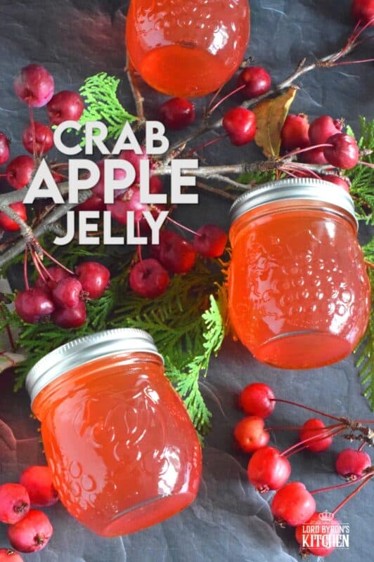 Easily transform those overly tart backyard crab apples into the most delicious Crab Apple Jelly! All you need are crab apples, water, and sugar! This jelly is sweet and tart and has a strong crab apple flavour. Go ahead, spoon it over everything! #crabapples #apple #jelly