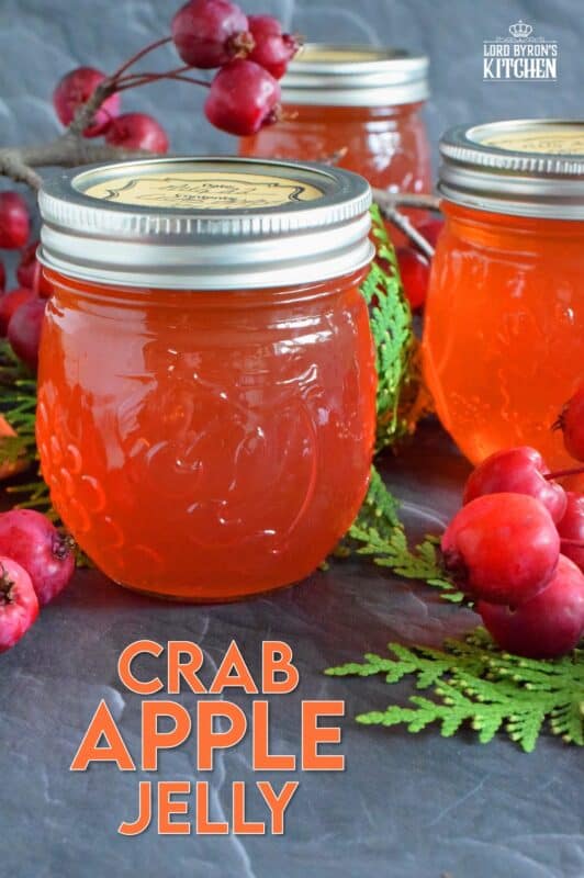 Easily transform those overly tart backyard crab apples into the most delicious Crab Apple Jelly! All you need are crab apples, water, and sugar! This jelly is sweet and tart and has a strong crab apple flavour. Go ahead, spoon it over everything! #crabapples #apple #jelly