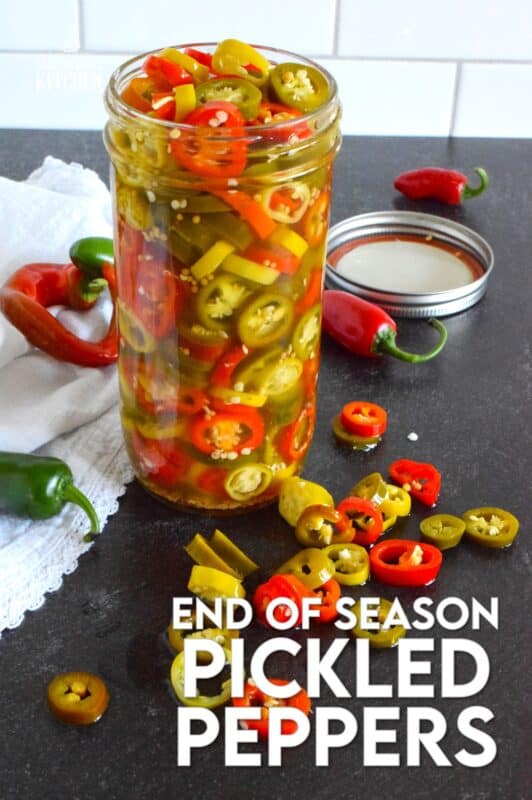 Sadly, summer does come to an end and with it, the last of your hot pepper harvest. When left with a bunch of hot peppers of mixed variety, prepare a big jar of these End of Season Pickled Peppers. No canning is required here! Fashioned with a quick pickle brine, these will keep safely in your refrigerator for two to three months! #pickled #hot #peppers #quick #brine #summer