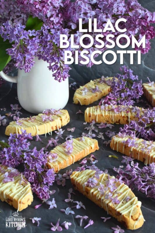 These biscotti are loaded with lilac flavour and scent.  Lilac petals are incorporated into the biscotti dough which has been sweetened with homemade lilac sugar.  Glazed and topped with more lilacs, these Lilac Blossom Biscotti are light, airy, and delicious! Super easy to make, and with their cheerful inclination, no one could resist! Treat yourself to one of these with a hot tea on a lazy Sunday afternoon. #lilac #biscotti #flowers #petals #brunch