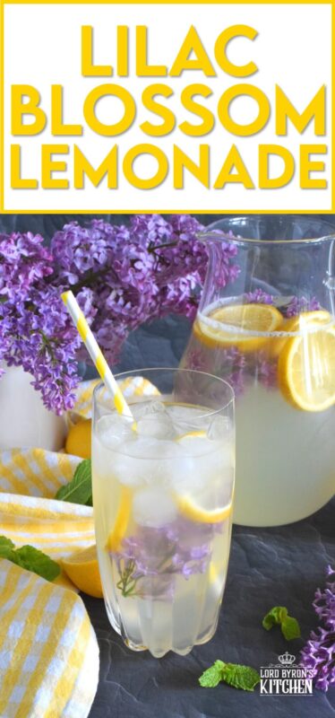 There’s nothing like the taste of perfectly sweet, tart and aromatic homemade Lilac Blossom Lemonade on a hot summer day. Prepared with lots of freshly squeezed lemon juice and an easy-to-prepare lilac-infused granulated sugar, this drink is sure to quench your thirst and wake up your senses! #lilac #flowers #blossom #recipes #lemon #lemonade