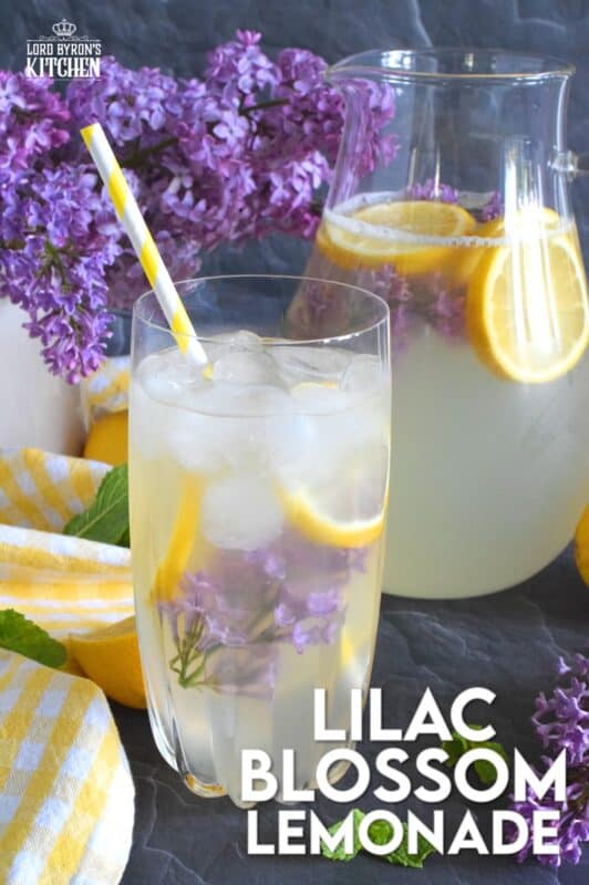 There’s nothing like the taste of perfectly sweet, tart and aromatic homemade Lilac Blossom Lemonade on a hot summer day. Prepared with lots of freshly squeezed lemon juice and an easy-to-prepare lilac-infused granulated sugar, this drink is sure to quench your thirst and wake up your senses! #lilac #flowers #blossom #recipes #lemon #lemonade