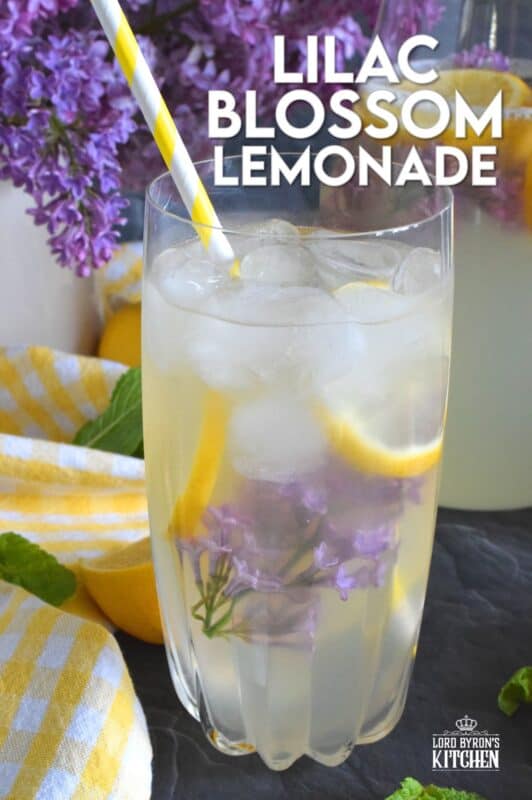 There’s nothing like the taste of perfectly sweet, tart and aromatic homemade Lilac Blossom Lemonade on a hot summer day. Prepared with lots of freshly squeezed lemon juice and an easy-to-prepare lilac-infused granulated sugar, this drink is sure to quench your thirst and wake up your senses! #lilac #flowers #blossom #recipes #lemon #lemonade