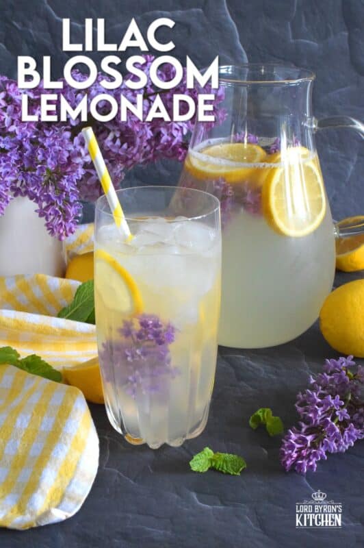 There’s nothing like the taste of perfectly sweet, tart and aromatic homemade Lilac Blossom Lemonade on a hot summer day. Prepared with lots of freshly squeezed lemon juice and an easy-to-prepare lilac-infused granulated sugar, this drink is sure to quench your thirst and wake up your senses! #lilac #flowers #blossom #recipes #lemon #lemonade