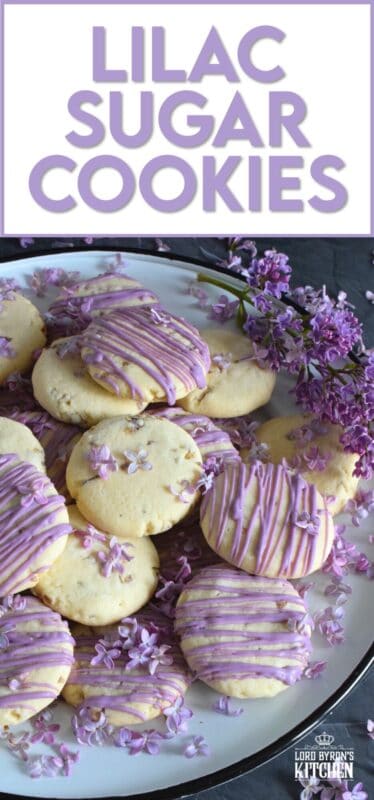 The uncomplicated and delicious sugar cookie gets a fresh, new flavour profile, and an upgrade in this Lilac Sugar Cookies recipe. A classic sugar cookie base is baked with lilac infused sugar, lilac syrup, and lilac petals. Topped with a simple glaze and sprinkled with more lilac flowers, these cookies are a great early summer treat! #lilac #sugar #cookies #baking #flowers #petals #syrup