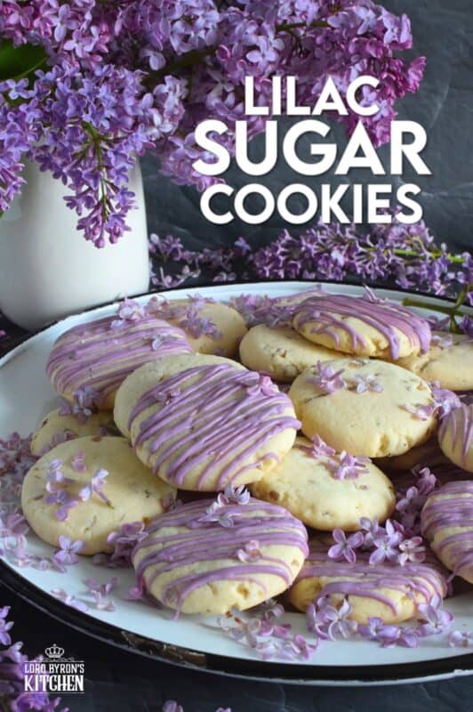 The uncomplicated and delicious sugar cookie gets a fresh, new flavour profile, and an upgrade in this Lilac Sugar Cookies recipe. A classic sugar cookie base is baked with lilac infused sugar, lilac syrup, and lilac petals. Topped with a simple glaze and sprinkled with more lilac flowers, these cookies are a great early summer treat! #lilac #sugar #cookies #baking #flowers #petals #syrup