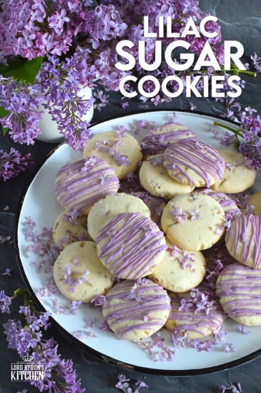 The uncomplicated and delicious sugar cookie gets a fresh, new flavour profile, and an upgrade in this Lilac Sugar Cookies recipe. A classic sugar cookie base is baked with lilac infused sugar, lilac syrup, and lilac petals. Topped with a simple glaze and sprinkled with more lilac flowers, these cookies are a great early summer treat! #lilac #sugar #cookies #baking #flowers #petals #syrup