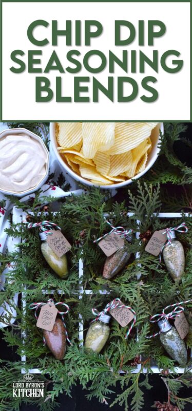 If you have someone special in your life who loves to snack on chips and dip, you must prepare these Chip Dip Seasoning Blends! A collection of 6 chip dip seasonings that require only the addition of sour cream to make the most delicious - and thoughtful! - homemade chip dip! #chip #dip #sourcream #seasoning #blends #gift