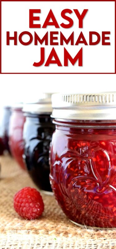 Preparing jam in small batches is the best way to go, and if you feel the same way, then my Easy Homemade Jam recipe is for you! All you need are three ingredients, a little patience, and a craving for delicious homemade jam! With jam this easy, you can stock your pantry all year round! #jam #easy #smallbatch #batch #homemade