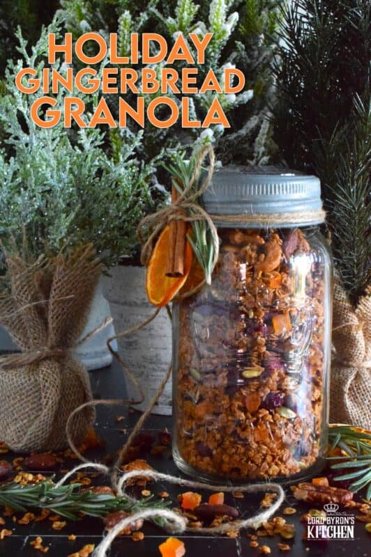Almonds, cashews, pecans, pumpkin seeds, cranberries, and apricots help to flavour and bulk up this Holiday Gingerbread Granola. Baked with maple syrup and butter, and seasoned with cinnamon, nutmeg, and allspice, this healthy snack makes a very delicious giftable treat! #granola #homemade #gift #gingerbread