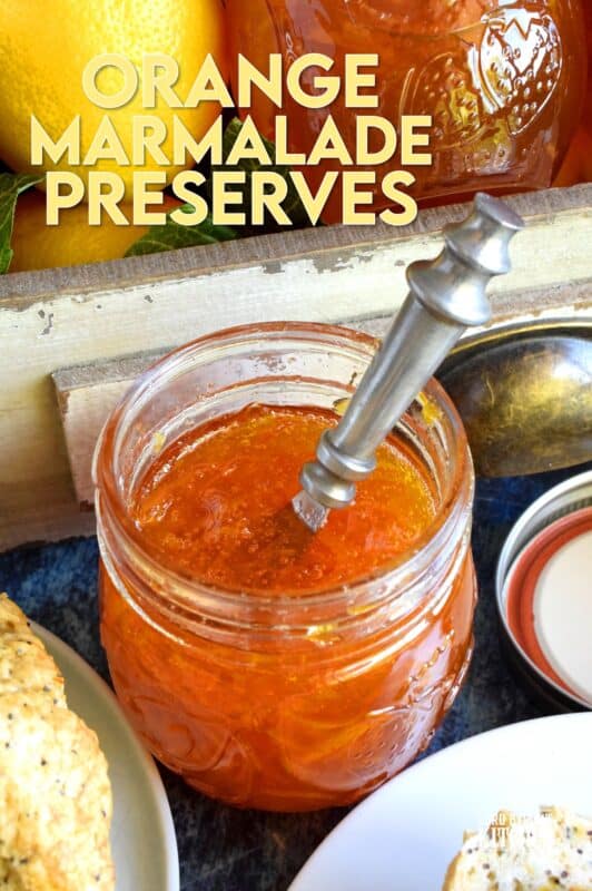 Perfectly tart and sweet Orange Marmalade Preserves is made without any thickening additives - great at breakfast time or over vanilla ice cream! Once you taste this homemade marmalade, you'll never buy it from the store again! #jam #marmalade #orange #preserves