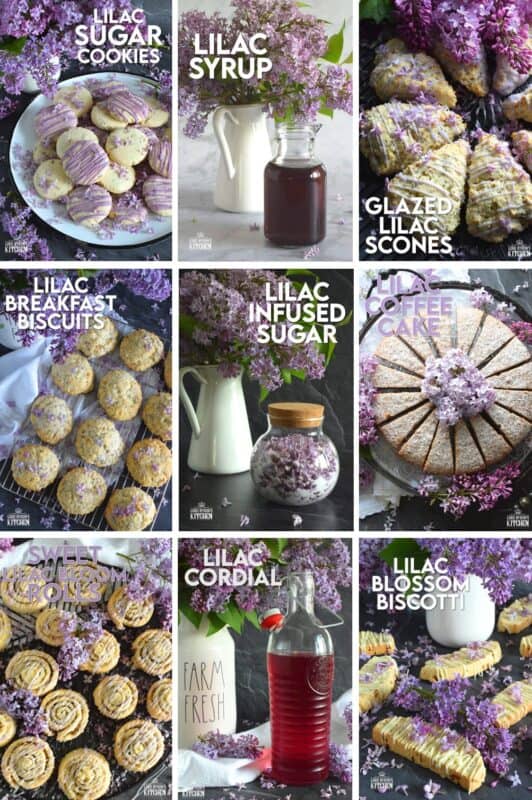 It’s lilac season, so it’s time to make the most of them, because, let’s face it – the season is super short! Did you know that lilacs are edible and that you can bake with them? I've assembled my favourite lilac recipes right here for you. Take a look at these 14 Lilac Blossom Recipes! #lilac #edible #flowers #recipes