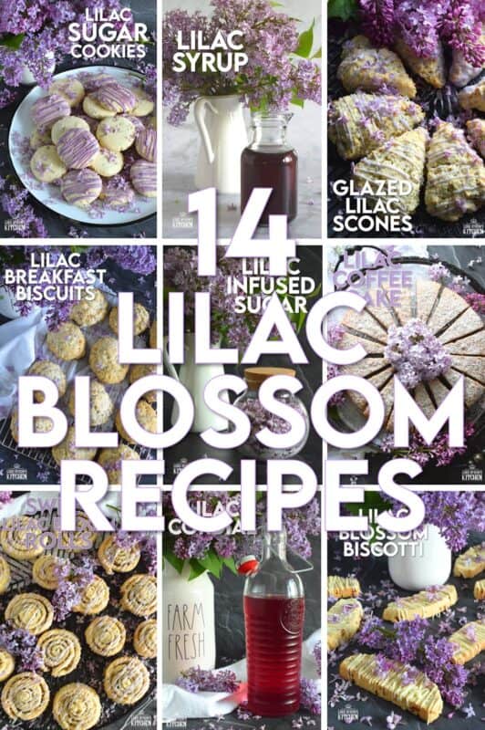 It’s lilac season, so it’s time to make the most of them, because, let’s face it – the season is super short! Did you know that lilacs are edible and that you can bake with them? I've assembled my favourite lilac recipes right here for you. Take a look at these 14 Lilac Blossom Recipes! #lilac #edible #flowers #recipes