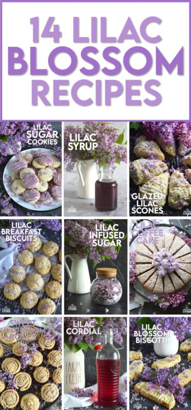 It’s lilac season, so it’s time to make the most of them, because, let’s face it – the season is super short! Did you know that lilacs are edible and that you can bake with them? I've assembled my favourite lilac recipes right here for you. Take a look at these 14 Lilac Blossom Recipes! #lilac #edible #flowers #recipes